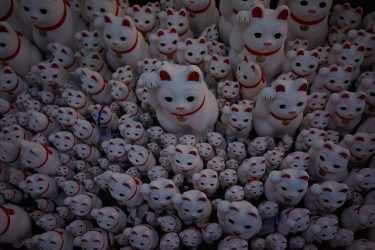 豪徳寺の招福猫児