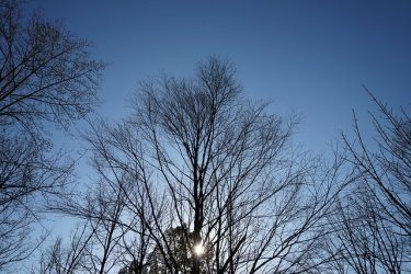 木場公園