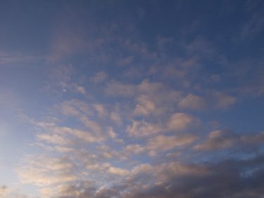 2009年最後の日