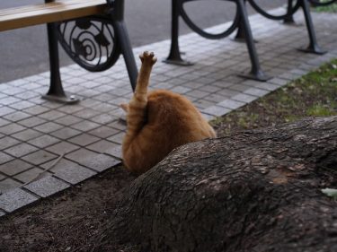 日比谷公園からひと駅