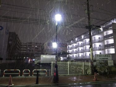 初雪