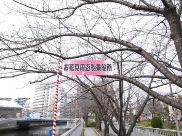 お花見周遊船