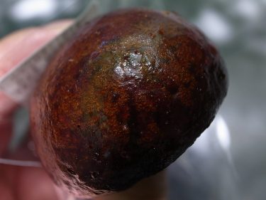 平日だけど休日