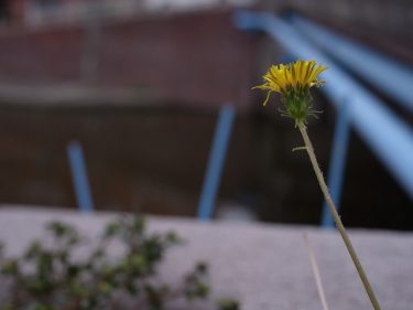 残暑はつづくよ