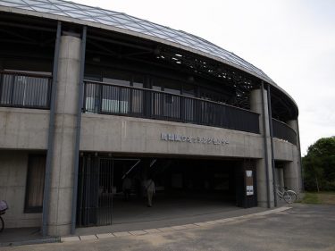 葛西臨海公園の鳥類園②